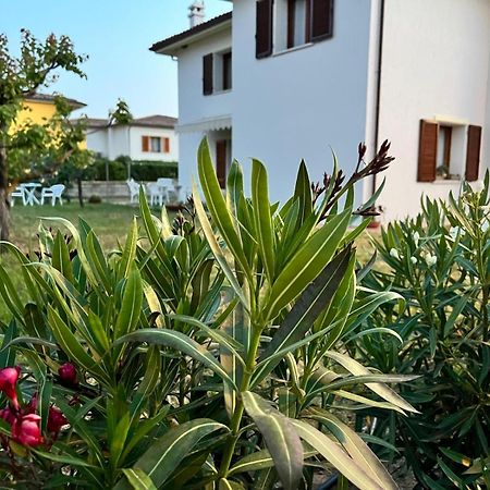 Private Apartment With Garden Cannigione Eksteriør billede
