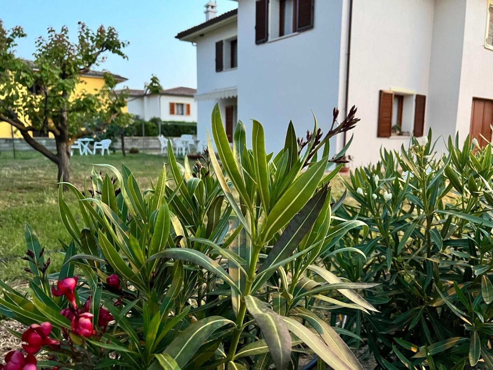 Private Apartment With Garden Cannigione Eksteriør billede
